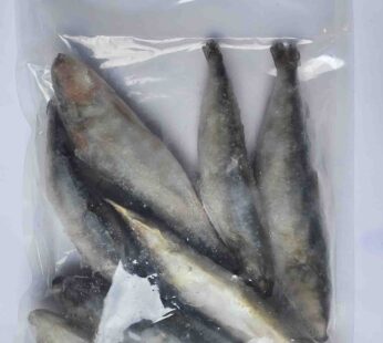 SARDINE WHOLE (മത്തി) 630 g