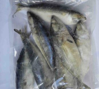 Indian Mackerel(അയല) 900 g